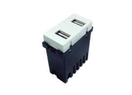 2 puertos USB 2 A (1 módulo) W PZ