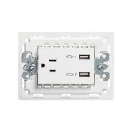 Toma corriente 2P+T C/2 Cargadores USB C/Chasis  S26