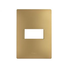 Placa 1modulo S/Chasis - Oro Mate S26