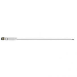 LED Piloto Blanco