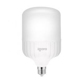 Foco LED 40W  T80